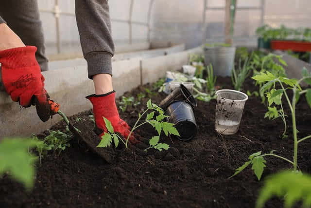 Tuinman in maassluis