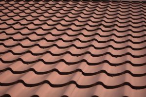 Bedrijven in Maassluisnu